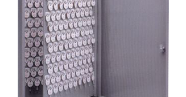 1200 Series Two Tag Key System
